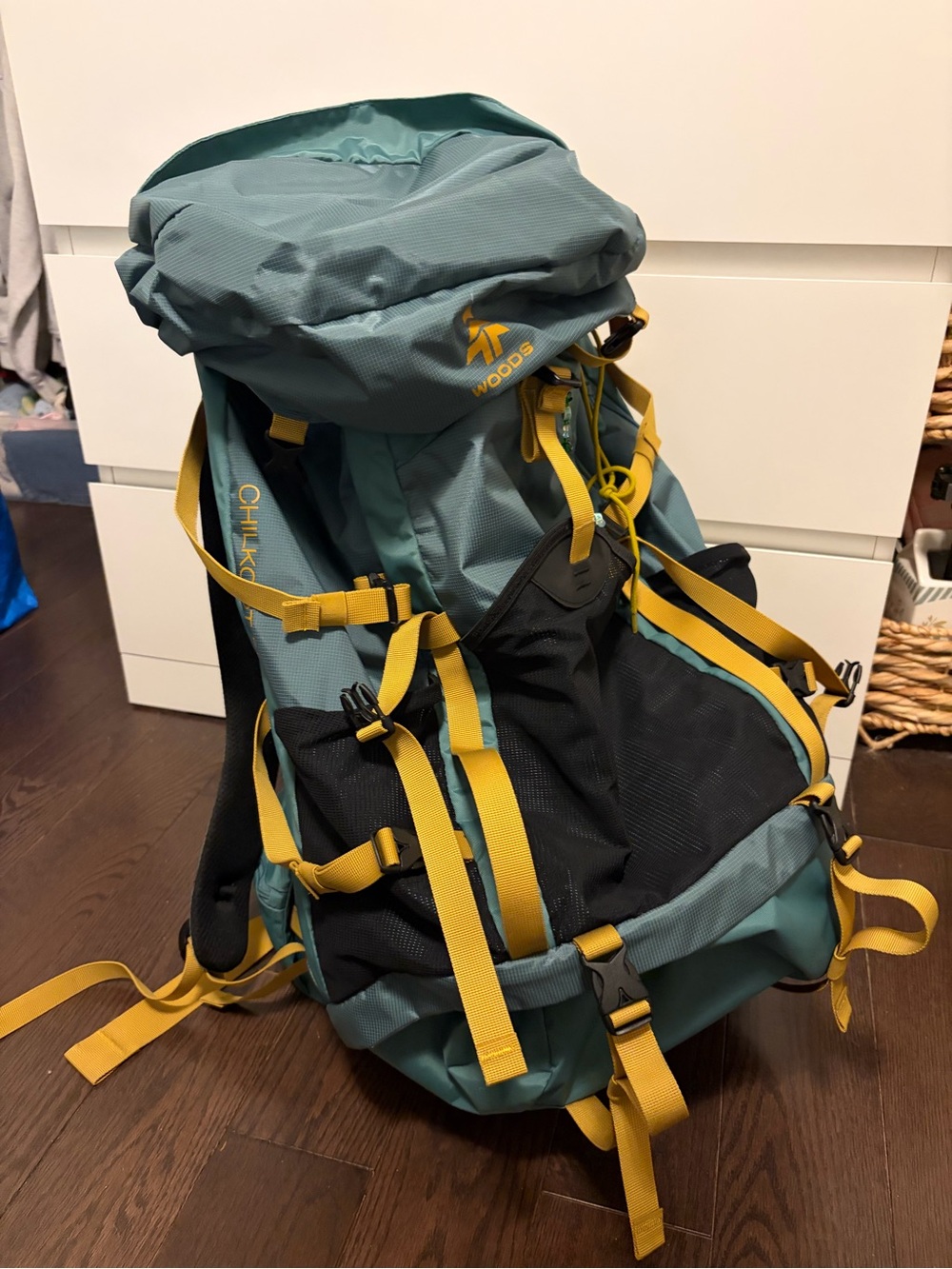 Woods Chilkoot 55L Hiking Backpack